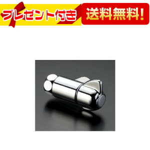 v[gt [K191P]KVK 򐅊p򐅐 򐅐