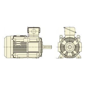 O[^ TFO-LKK-55kW-4P-AC200/400Vp SO dl rt u[L UE[gNeo100 Premium [q