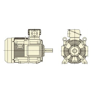  O[^ TFOA-LKK-30kW-4P AC200/400Vp SO Odl rt u[L UE[gNeo100 Premium