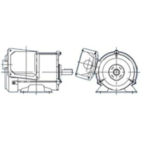 三菱 三相モーター SF-PRO-2.2kW-2P-400V AC400V 2極 汎用 脚取付 屋外仕様