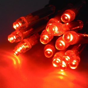 tlight LED�C���~�l�[�V���� CSBBO1-100-100P/2 �u���b�h�I�����W(�g�U�^) 24�{�܂Ƃߔ��� 24�{ �y�܂Ƃߔ��菤�i�z