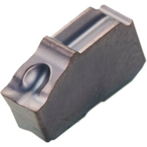 �O�H �a����pGW�V���[�Y GW1M0500H030N-GS GS�u���[�J�t PVD�R�[�e�B���O�C���T�[�g VP20RT 10�܂Ƃߔ��� 10�� �y�܂Ƃߔ��菤�i�z
