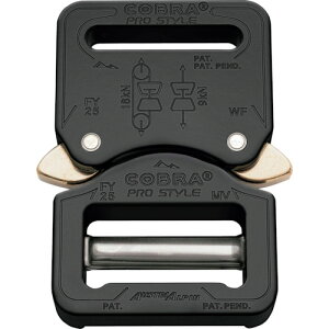 ALPIN COBRA�v���X�^�C�� FY25KVF �o�b�N�� 25MM �u���b�N VF 100�܂Ƃߔ��� 100�� �y�܂Ƃߔ��菤�i�z