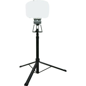 NICHIDO LED�~�j�o���[�����C�g LBA-150LN-G �}�C�m�E�~�[ �O�r�t