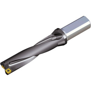 TAEGUTEC �n��������h�����z���_�[ TOP 4170-25T2-06 �g�b�v�h����