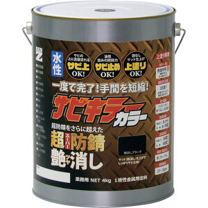BAN[ZI hKh B-SKCT/K04B TrL[J[ 4kg 