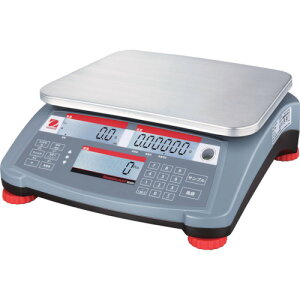 I[nEX W[JEg3000 RC31P6 6kg/0.2g 30031809