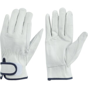 g \v 475E-L W[En L (10o)