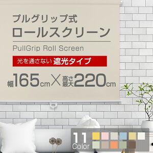 ���[���X�N���[�� �i�S11�F�j�y�Ռ��^�C�v�z165cm×220cm �ȒP��t��! �v���O���b�v�� ���[���X�N���[�� �yrollscreen�E��[�邷����[��z �y���Ⴑ���z ���[�� �J�[�e�� �y���͂���1�T�ԁ`10�c��