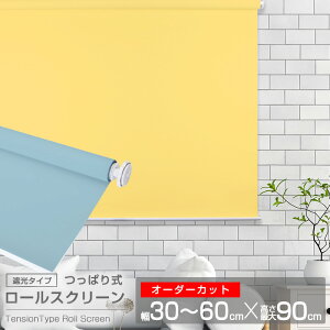 ���ς莮���[���X�N���[�� �i�S11�F�j�y�Ռ��^�C�v�z�y�`�F�[�������グ�z�y�I�[�_�[�J�b�g�z��30�`60cm×�ő卂��90cm �ȒP��t��! �`�F�[���� ���[���X�N���[�� ���[�� �J�[�e��