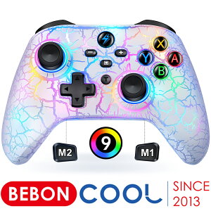 y300~N[|zzzBEBONCOOL XCb` Rg[[ Switch Rg[[ nintendo switch proRg[[ }N@\ wʃ{^t 9FϊRGBCg gK[{^ 1000mAh X[vA 