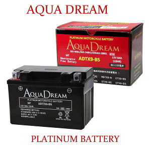 AQUA DREAM ANAh[ADTX9-BSV[h^ MF(PLATINUM) t[d oCNpobe[Ȍ݊iԁFYTX9-BS/FTX9-BS/DTX9-BS