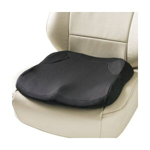 BONFORM �{���t�H�[��5660-43BK�y�T�|�N�b�V���� �h���C�u�}�X�^�[EX 45x45cm
