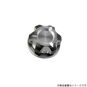 DAYTONA fCgi91894PREMIUM ZONE ICtB[Lbv[M20XP2.5]AbVVo[