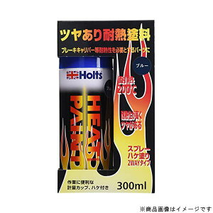 Holts zg112511q[gyCg u[ MH11251 cϔMh J[ C 