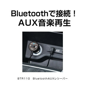 ZCBTR110Bluetooth-AUXV[o[