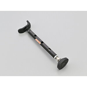 fCgi DAYTONA25552C[W[tgAbvX^h2