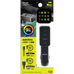 YAC bNTP230ԓpi@2PD30W{USB`[W[@fBNV