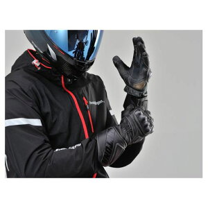 DAYTONA fCgi99228HBG-040 X|[cOO[u ubN L