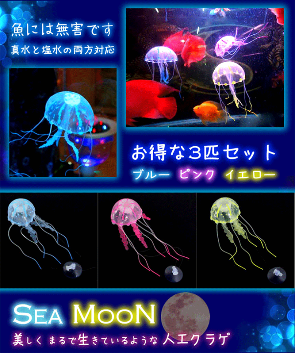 海月水槽 41trA7zyAfL._UF350,350_QL80_.jpg