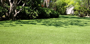 UNIONBIZ jIrY@lHŁ@[^[t@1m×10m@25mm^Cv@MT25-0110