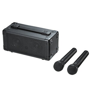 �T�����T�v���C SANWA�@�g����X�s�[�J�[�@���C�����X�}�C�N2�{�t���E�d�r�EAC�d�����Ή��E���[�o�b�O�t���@MM-SPAMP7�y���������E�ꕔ�n�揜���z