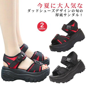 T_ fB[X X|[cT_  7cmq[ gAbv RtH[gT_ V[Y y r[`T_ C }WbNe[v xN EFbW\[ ₷ ɂ