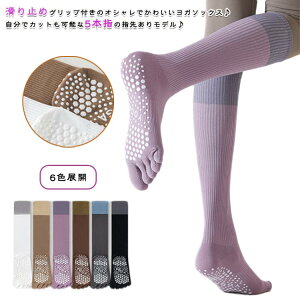 2Zbg K\bNX seBX\bNX 5{w ~ nC\bNX 6FWJ ܐ悠  ubN O[ zCg p[v R[q[ KEFA nC\bNX \bNX