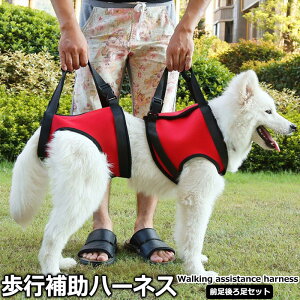 猫 ハーネス 犬用健康管理用品の人気商品 通販 価格比較 価格 Com 猫 ハーネス 犬用健康管理用品の人気商品 通販 価格比較 価格 Com