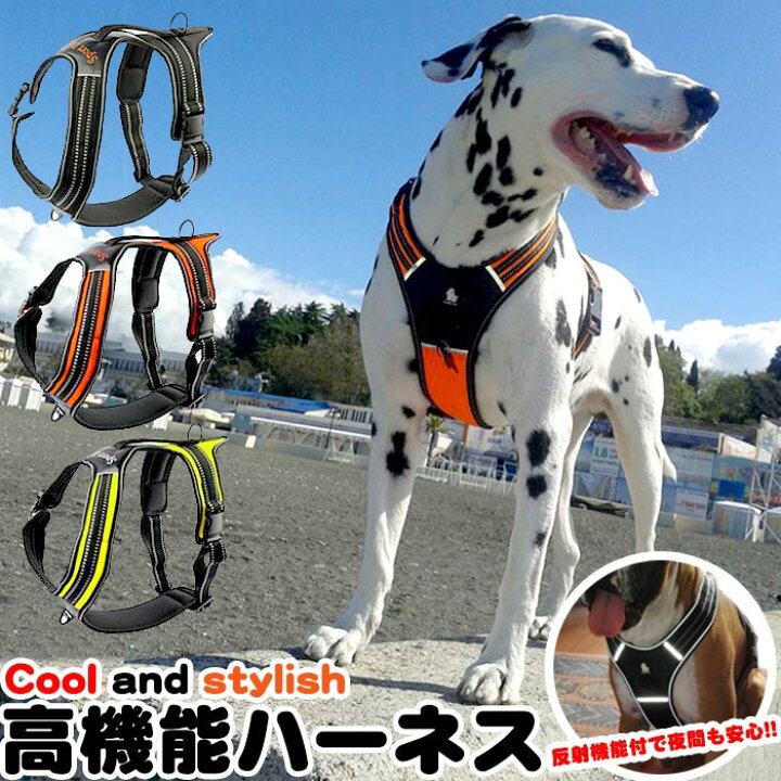 楽天市場 犬 ハーネス ベスト ペット 服 胴輪 キャット ドッグ メッシュ ドッグウェア 大型犬 中型犬 H01 セブンブリッジ