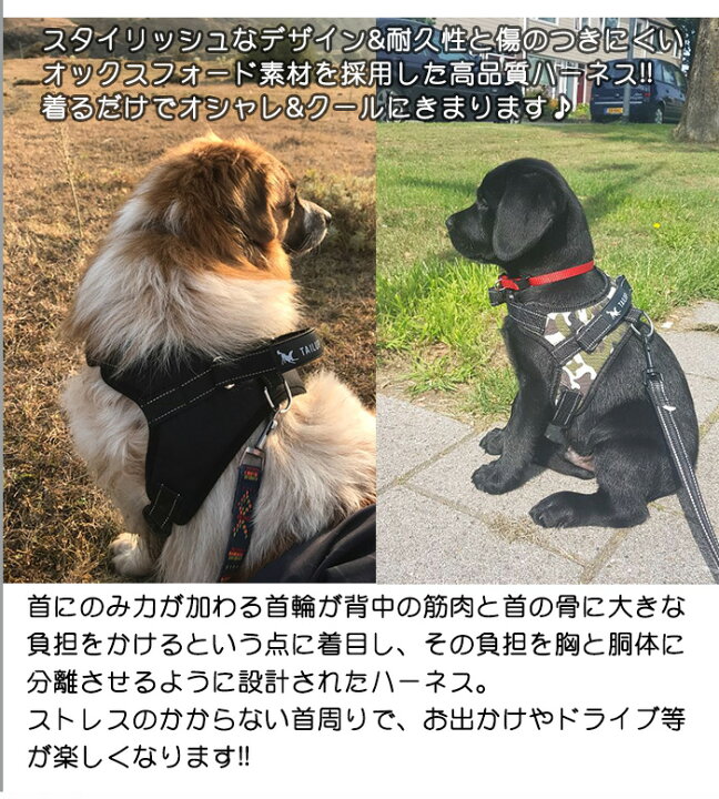 楽天市場】犬 ハーネス ベスト ペット ロック機能 付 服 胴輪 キャット ドッグ メッシュ ドッグウェア 小型犬 大型犬 中型犬 h0170 : セブンブリッジ 楽天市場】犬 ハーネス ベスト ペット ロック機能 付 服 胴輪 キャット ドッグ メッシュ ドッグウェア 小型犬 大型犬 中型犬 h0170 : セブンブリッジ