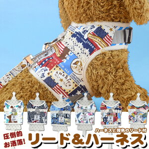  L n[lX [h ybg fUC  EFAn[lX  Lbg hbO  USA h0172