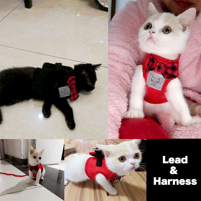 猫 犬 ハーネス リード ペット メッシュ 服 ウェアハーネス 胴輪 キャット ドッグ リーシュ リボン h0173 セブンブリッジ