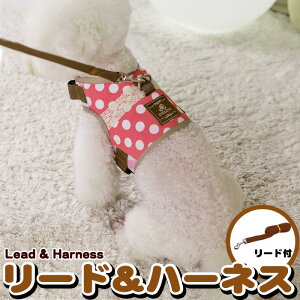  L n[lX [h ybg  hbg [X fUC  EFAn[lX  Lbg hbO h0176