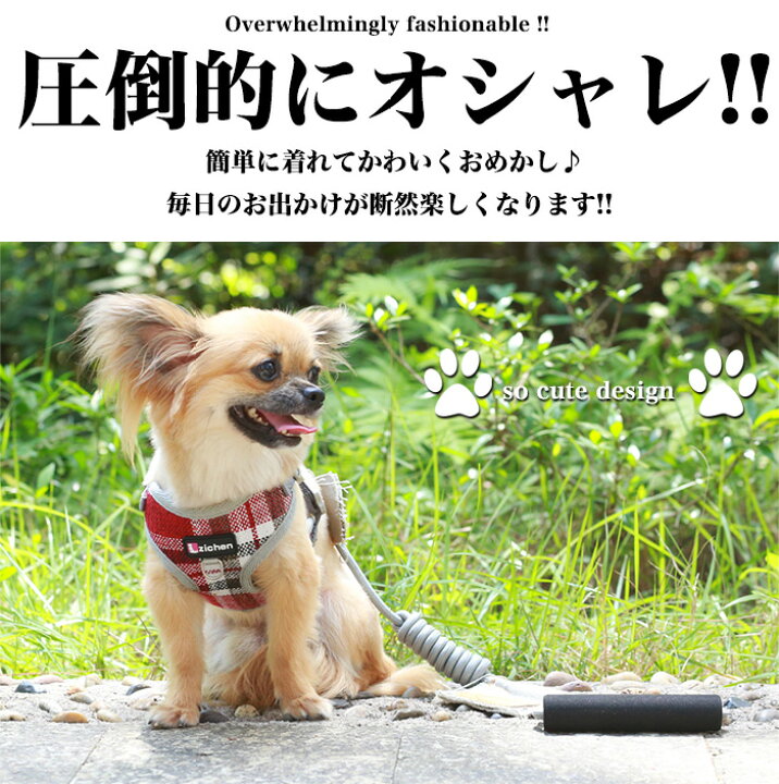 楽天市場】犬 猫 ハーネス リード ペット 格子 ギンガム デザイン 服 ウェアハーネス 胴輪 キャット ドッグ h0204 : セブンブリッジ 楽天市場】犬 猫 ハーネス リード ペット 格子 ギンガム デザイン 服 ウェアハーネス 胴輪 キャット ドッグ h0204 : セブンブリッジ