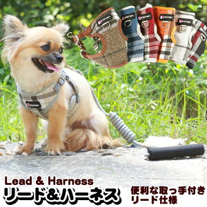  L n[lX [h ybg iq MK fUC  EFAn[lX  Lbg hbO h0204