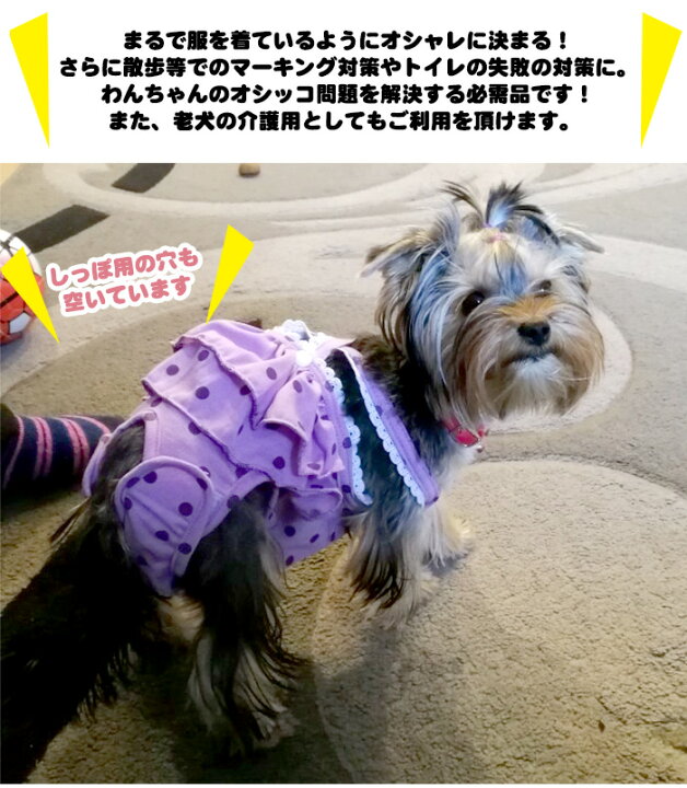 ラッピング不可 犬 マナーベルト マナーバンド タータンチェック オムツカバー ドッグウェア 犬の服 服 しつけ マーキング防止 トイレ 介護 Discoversvg Com
