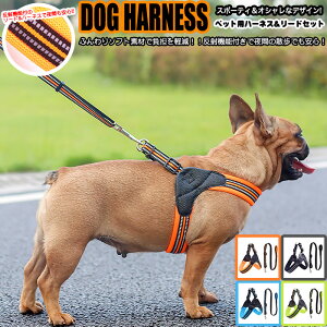  n[lX [h t xXg ybg  ӂ琶n   Lbg hbO bV hbOEFA ^ ^ ^ h0258