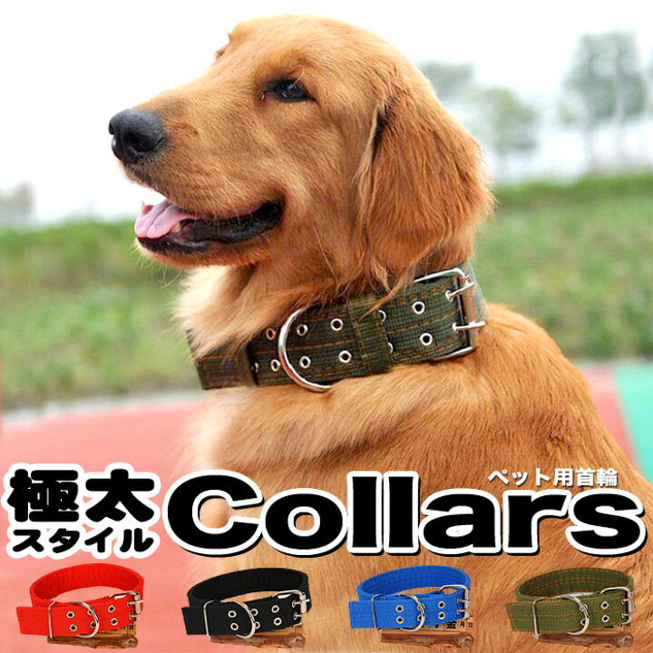 楽天市場 犬 首輪 首や喉に優しい ペット ドッグ ペットグッズ 太い 極太 幅広 小型犬 中型犬 大型犬 H0260 セブンブリッジ