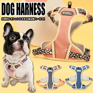  n[lX xXg ybg  ӂ琶n  Lbg hbO bV hbOEFA ^ ^ h0263