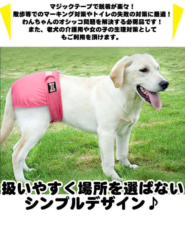 市場 犬 サニタリーパンツ ドッグウェア 中型犬用 おむつカバー マナーウェア 犬用マナーパンツ 小型犬 女の子