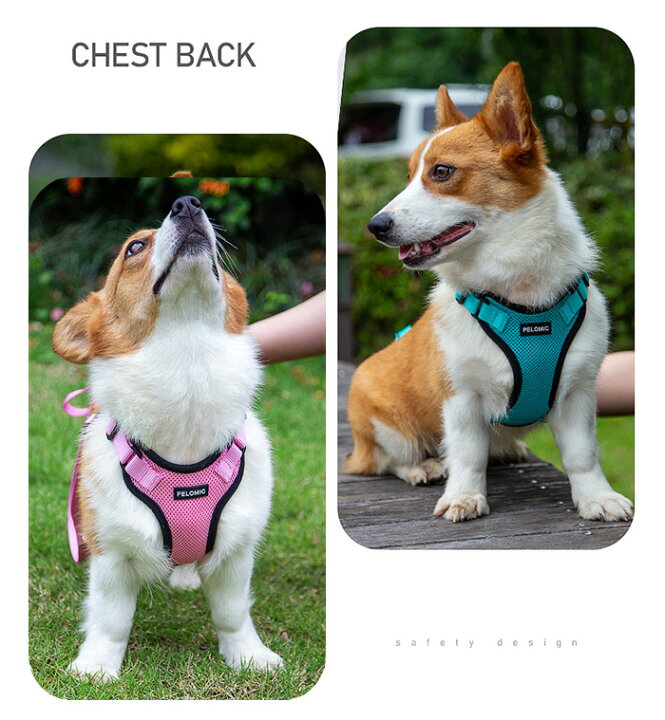 アフロートドッグ Vet クレンジングオイル 1l Dog Afloat スキンケア 皮脂 業務用 犬