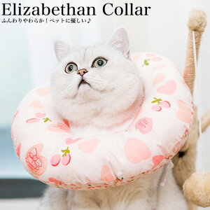 猫用エリザベスカラー、傷口の保護に軽くて柔らかいおしゃれなソフトタイプのおすすめは？