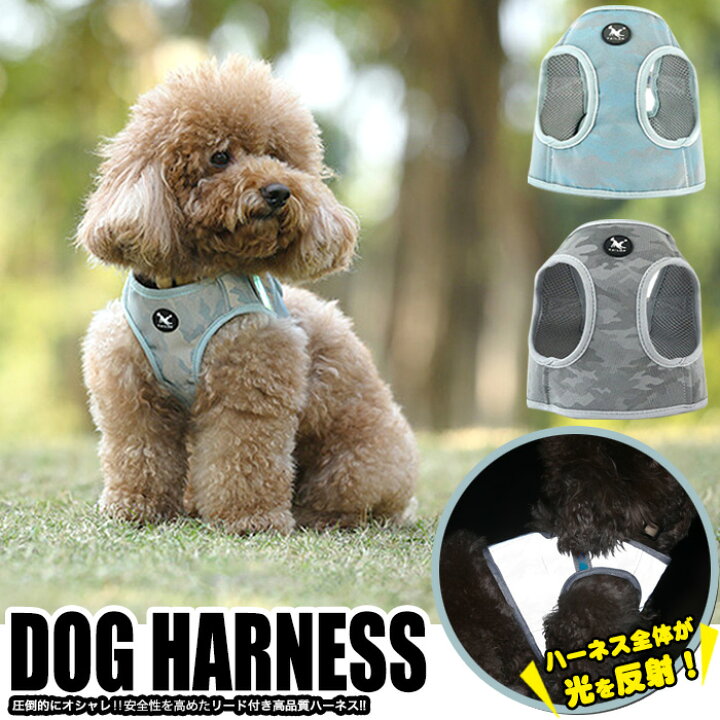 楽天市場】犬 猫 ハーネス 全反射 リード付 ペット 服 ウェアハーネス 胴輪 キャット ドッグ メッシュ h0297 : セブンブリッジ 楽天市場】犬 猫 ハーネス 全反射 リード付 ペット 服 ウェアハーネス 胴輪 キャット ドッグ メッシュ h0297 : セブンブリッジ
