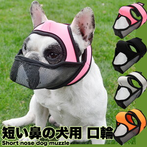   }Y ̌^ ̐^ Z@̌ ̌ ʖi ݂ EHh~ }XN bV h0307