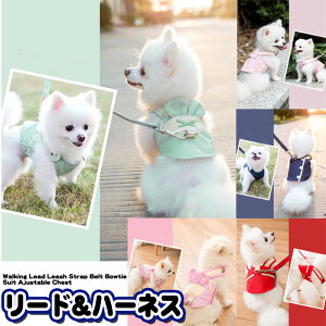  n[lX [ht ybg  fUC EFAn[lX  Lbg hbO bV h0309