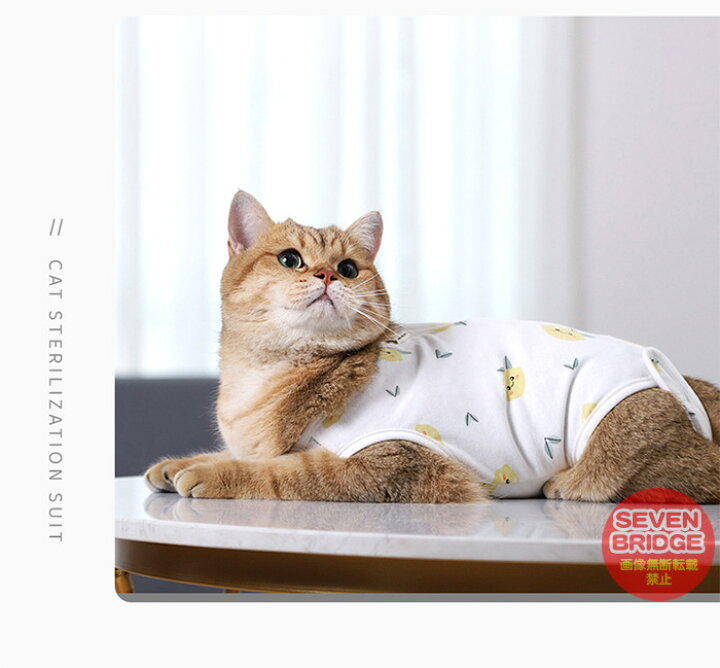 楽天市場 猫 犬 術後服 術後ウェア フルーツ 服 傷 舐めない 傷口保護 ペット用品 ペット服 エリザベスカラー H03 セブンブリッジ