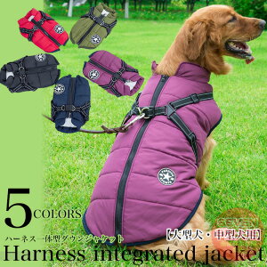 ^ ^ p WPbg n[lX ̌^  g WPbg xXg EFA ybg  h h h h0391