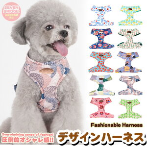  L n[lX a fUC K EFAn[lX ybg   Lbg hbO h0476