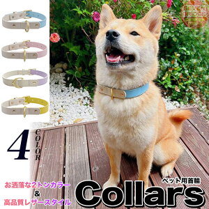  L  Jt 4J[ c[gJ[ U[ ybg Lbg hbO ybgObY ^ ^ ^ h0497